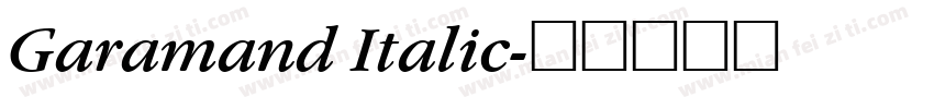 Garamand Italic字体转换